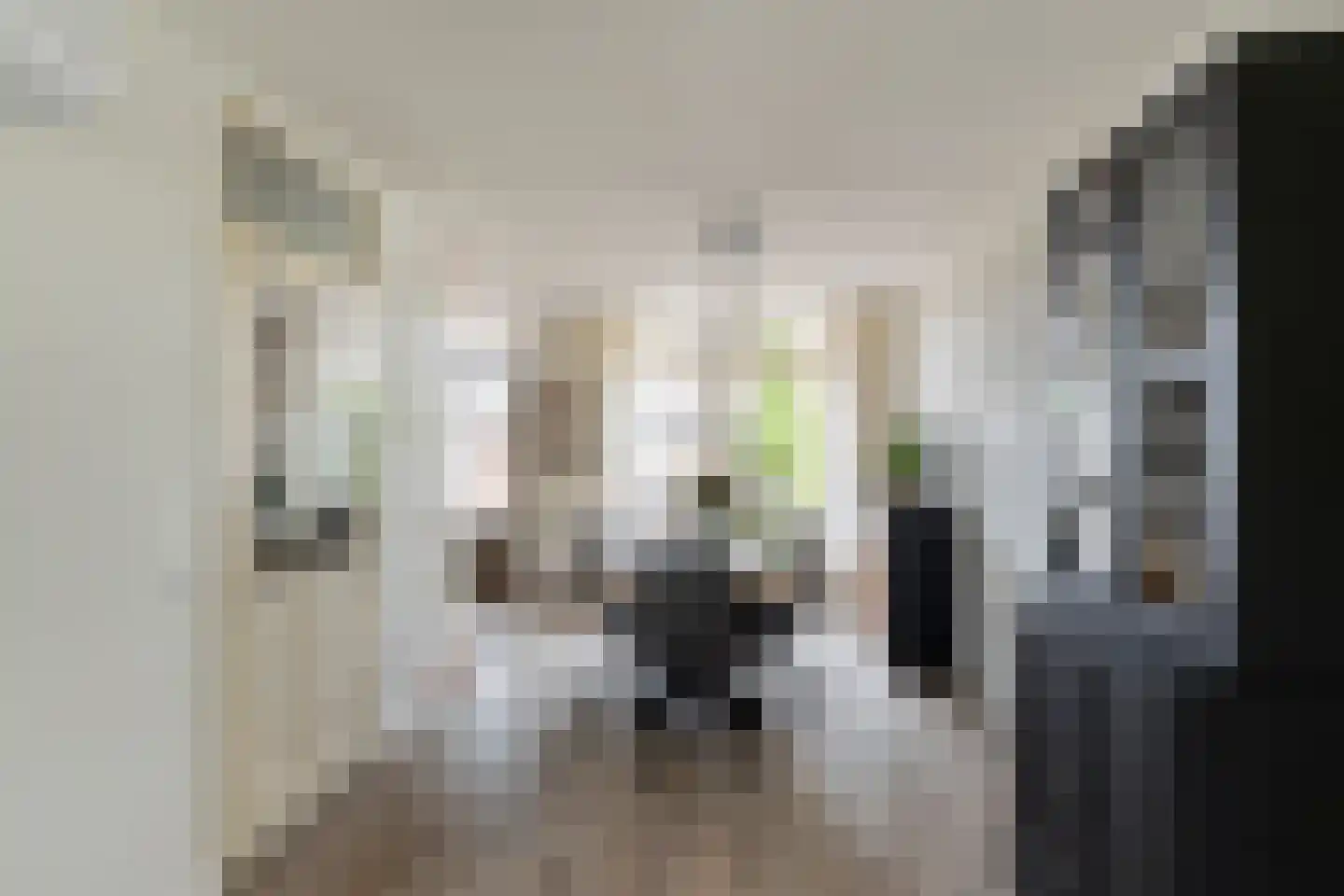 Meanderlaan 171 Tholen thumbnail 15