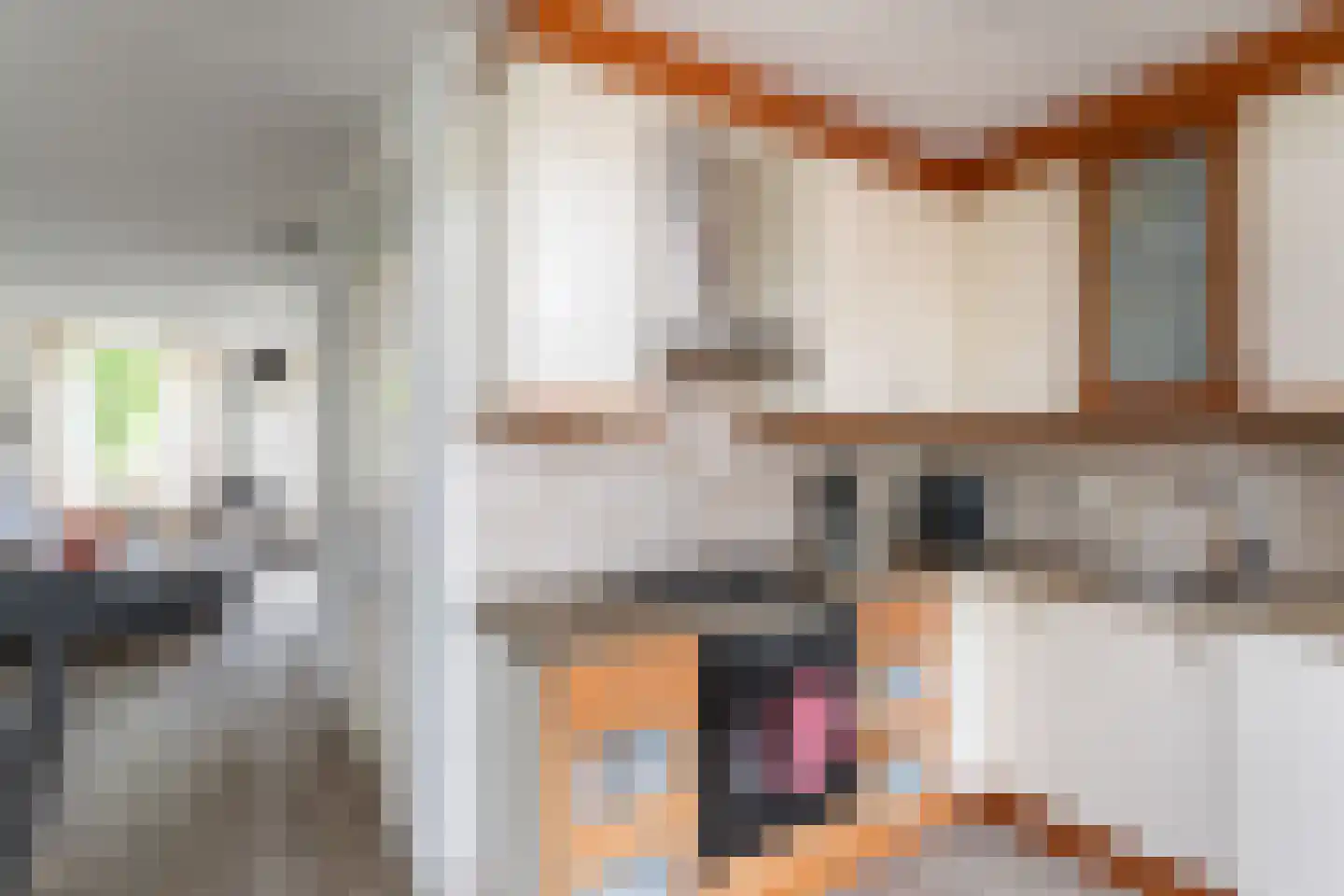 Meanderlaan 171 Tholen thumbnail 17
