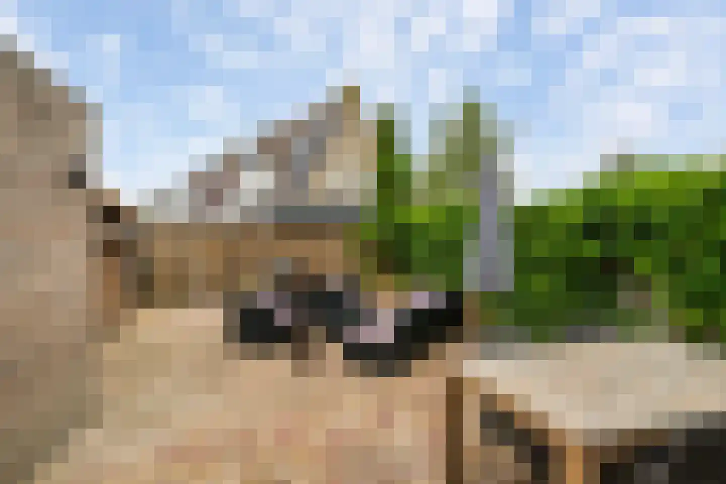 Meanderlaan 171 Tholen thumbnail 29