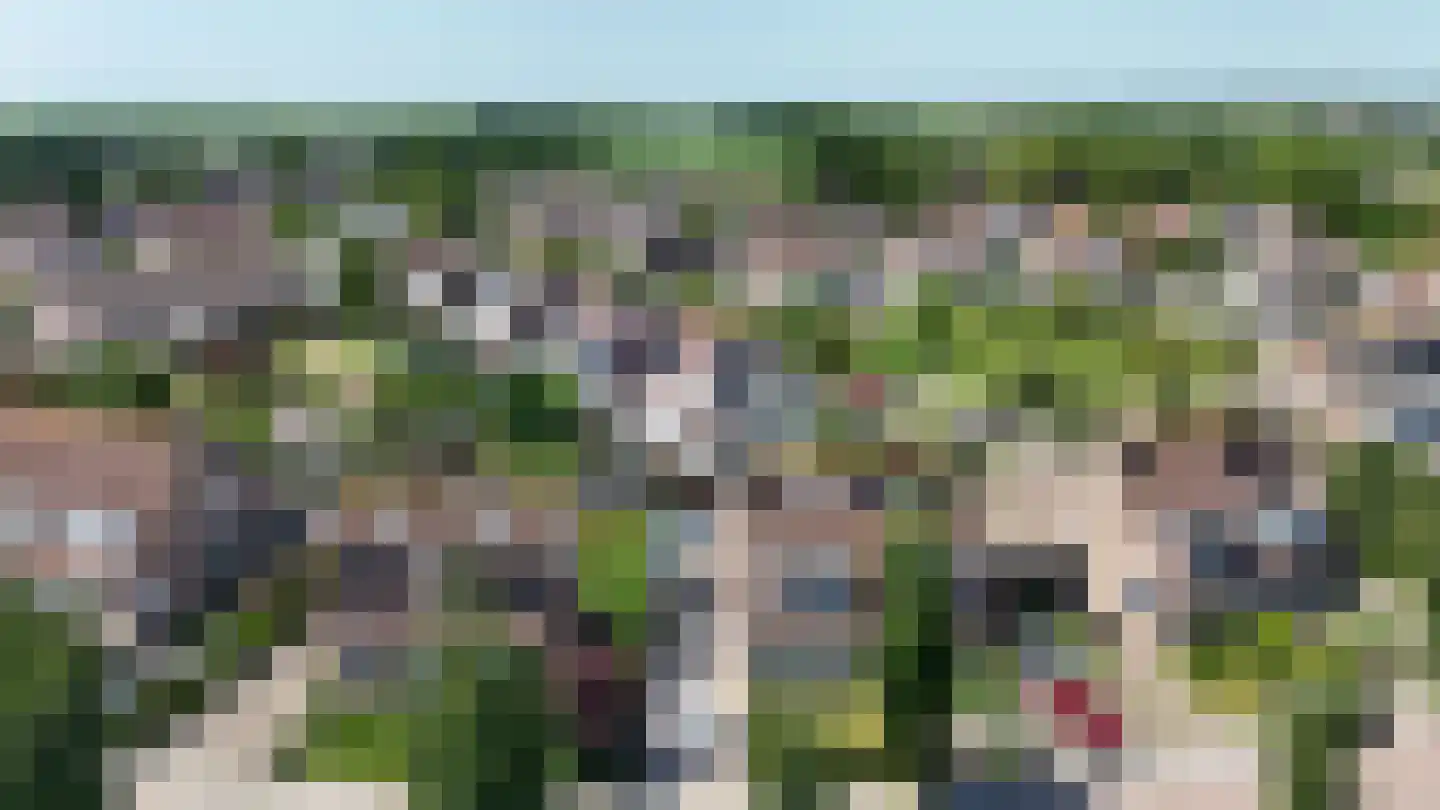 Meanderlaan 171 Tholen thumbnail 31