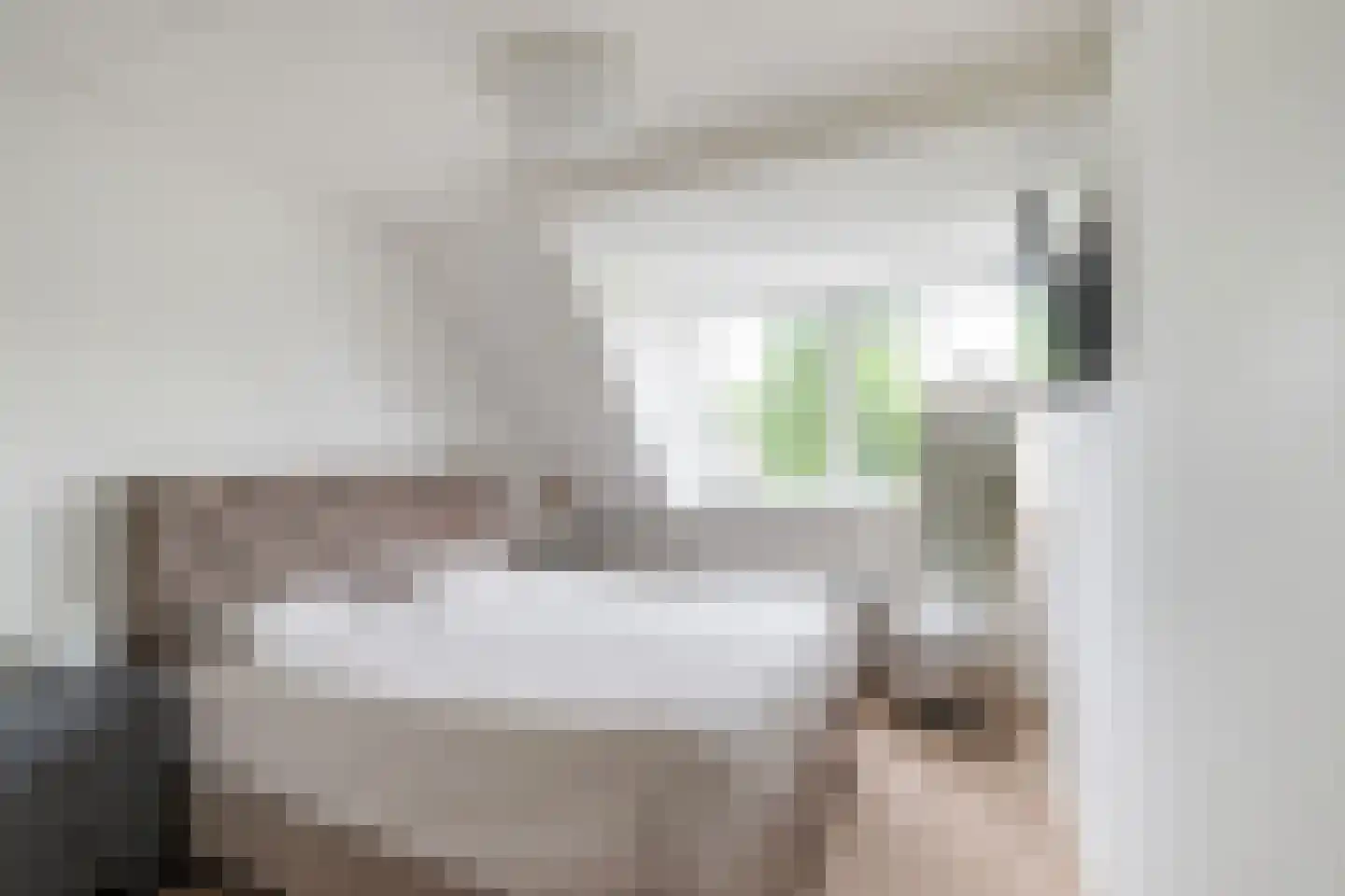 Meanderlaan 171 Tholen thumbnail 4