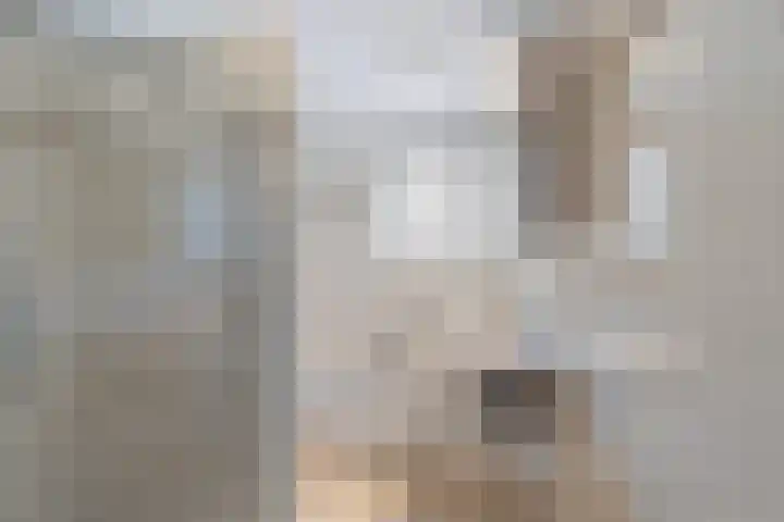 Meanderlaan 206 Tholen thumbnail 26
