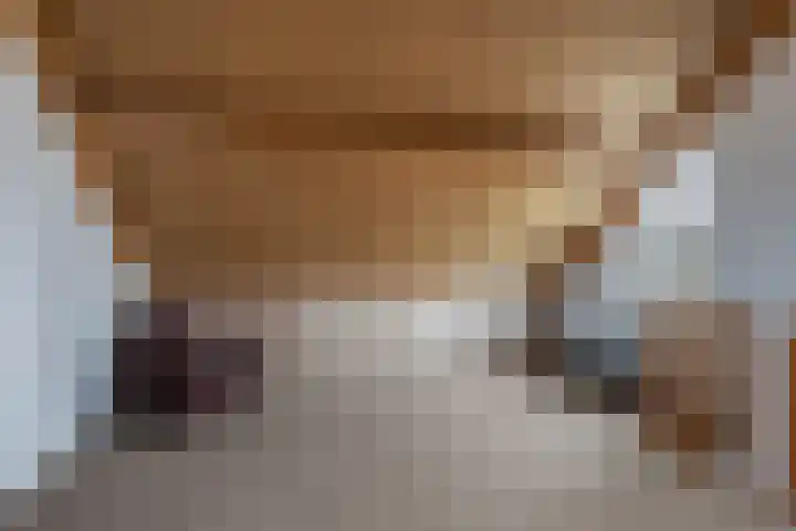 Meanderlaan 206 Tholen thumbnail 28