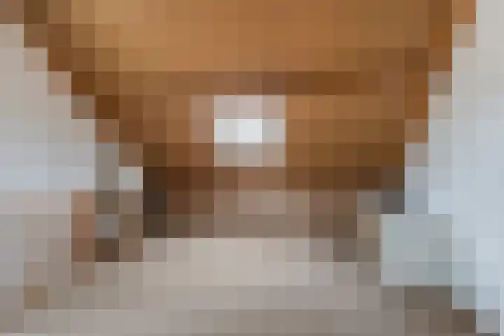 Meanderlaan 206 Tholen thumbnail 29
