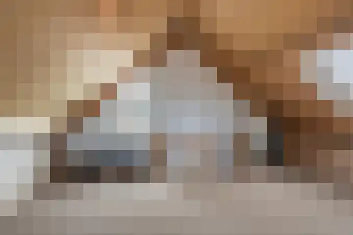 Meanderlaan 206 Tholen thumbnail 30