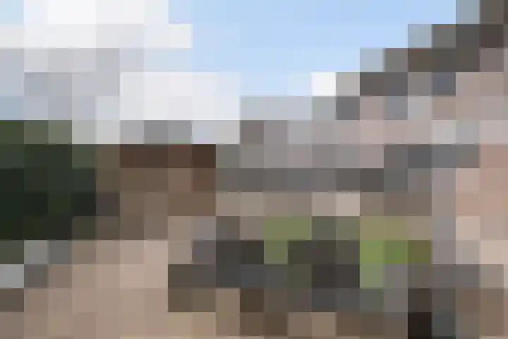 Meanderlaan 206 Tholen thumbnail 33