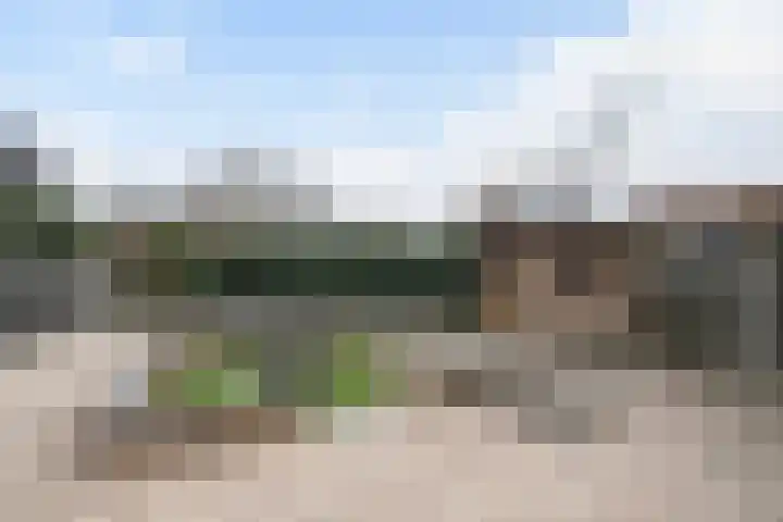 Meanderlaan 206 Tholen thumbnail 4