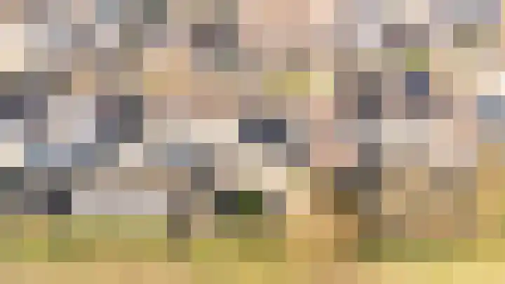 Meanderlaan 206 Tholen thumbnail 5