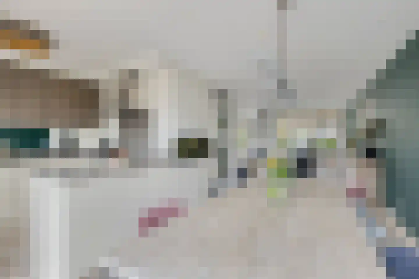 Meanderlaan 21 Tholen thumbnail 14