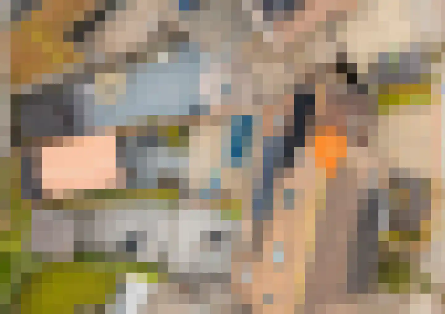 Meanderlaan 21 Tholen thumbnail 38