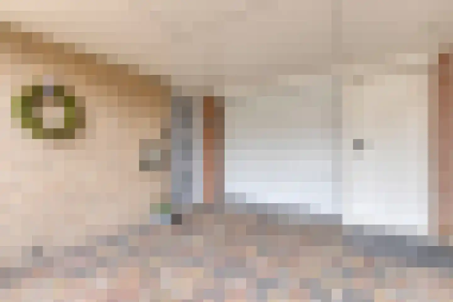 Meanderlaan 21 Tholen thumbnail 4