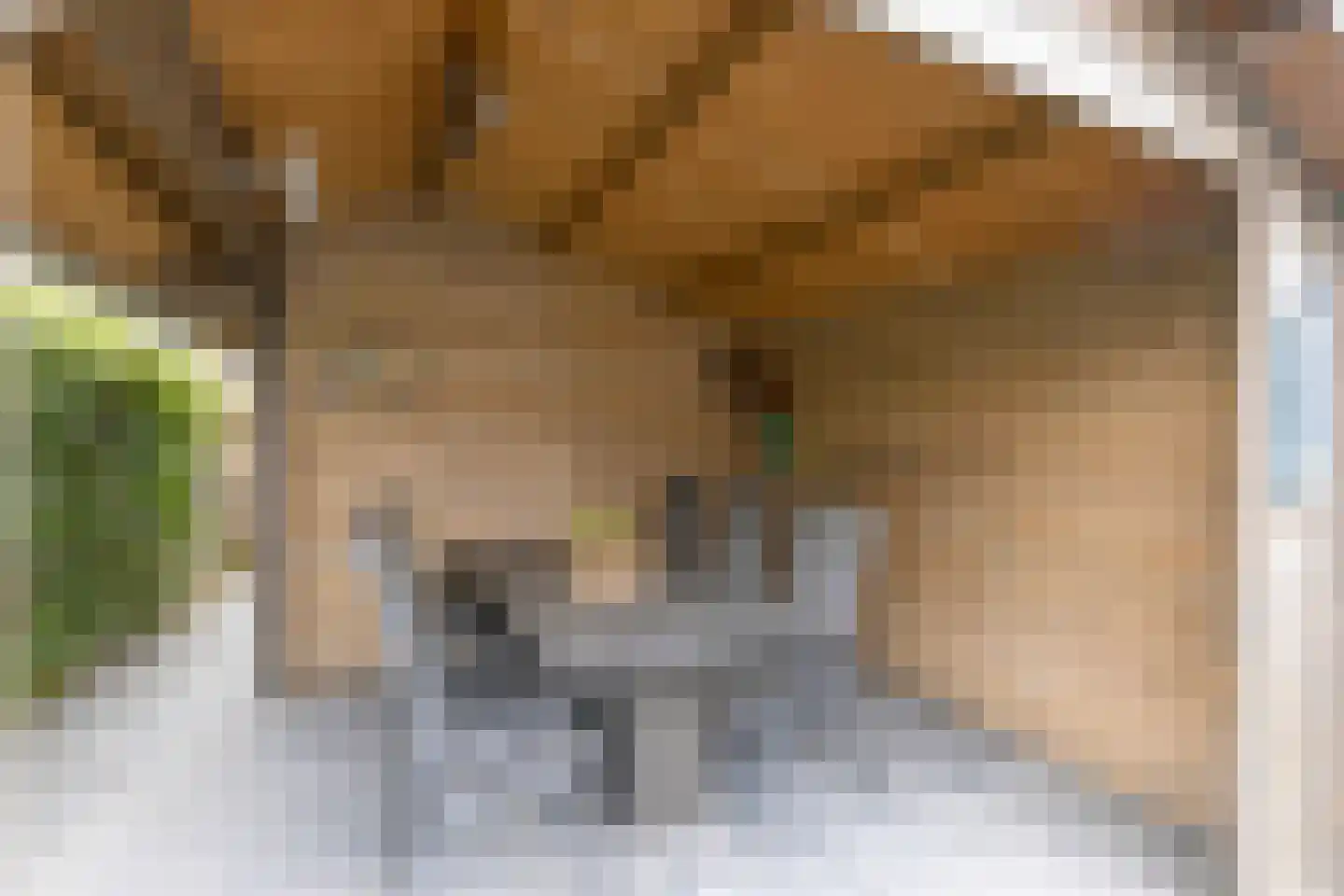 Meanderlaan 21 Tholen thumbnail 41