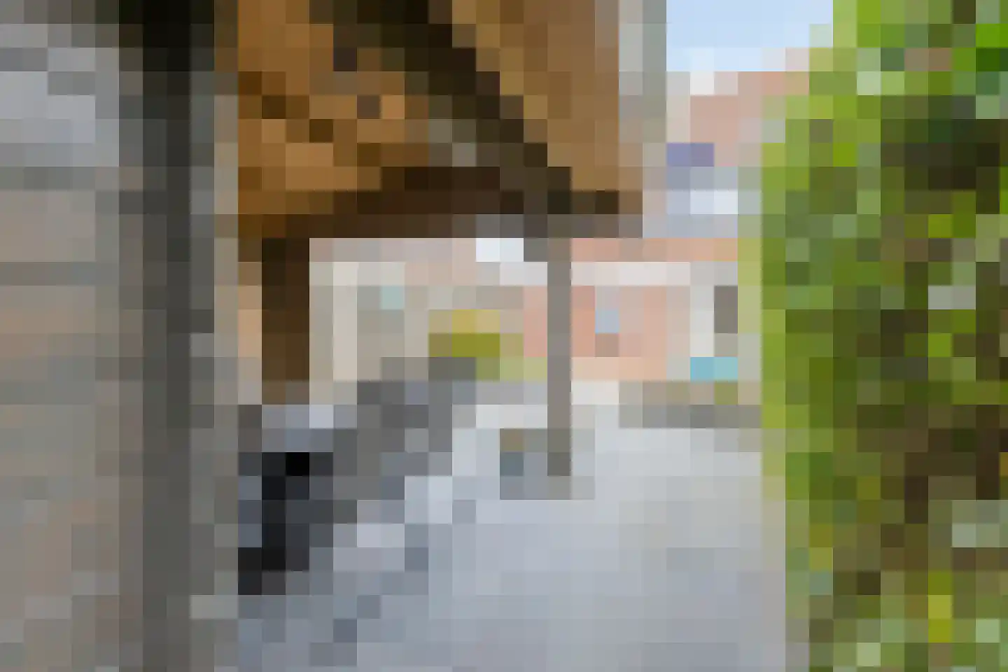Meanderlaan 21 Tholen thumbnail 42