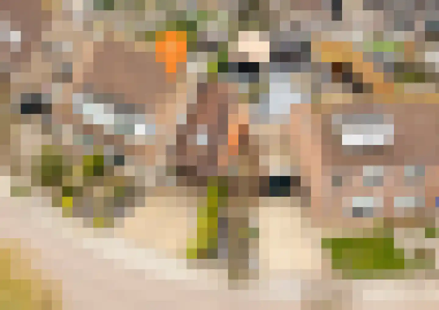 Meanderlaan 21 Tholen thumbnail 47