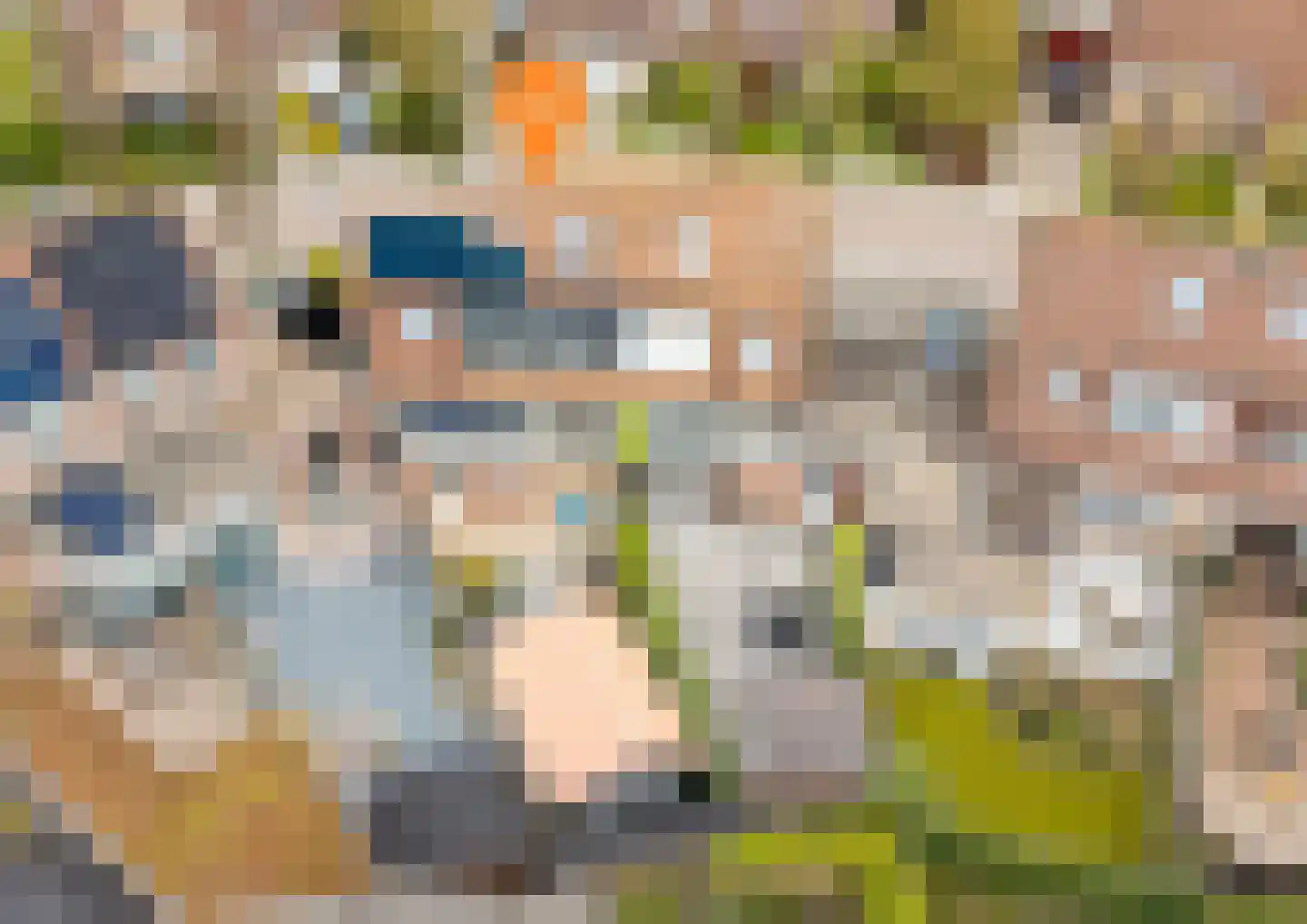 Meanderlaan 21 Tholen thumbnail 49