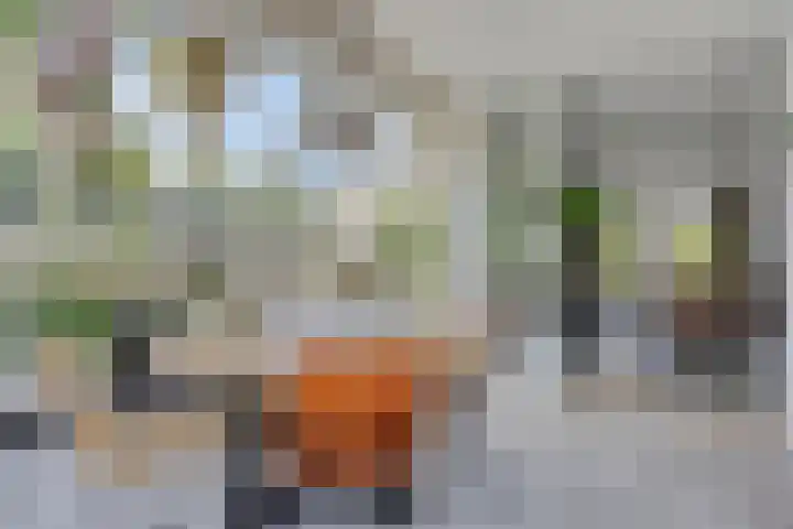 Meanderlaan 33 Tholen thumbnail 16