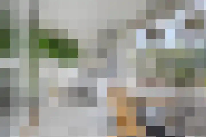 Meanderlaan 33 Tholen thumbnail 17