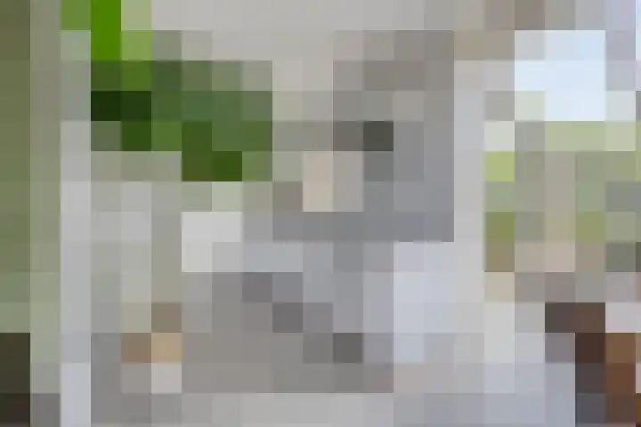 Meanderlaan 33 Tholen thumbnail 18