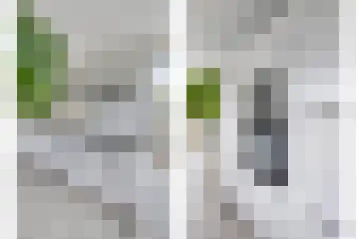 Meanderlaan 33 Tholen thumbnail 19