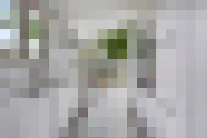 Meanderlaan 33 Tholen thumbnail 20