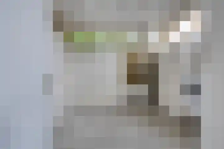 Meanderlaan 33 Tholen thumbnail 21