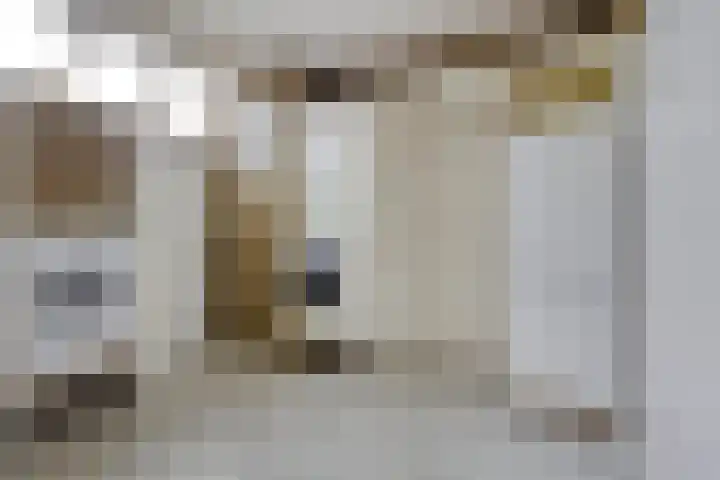 Meanderlaan 33 Tholen thumbnail 22