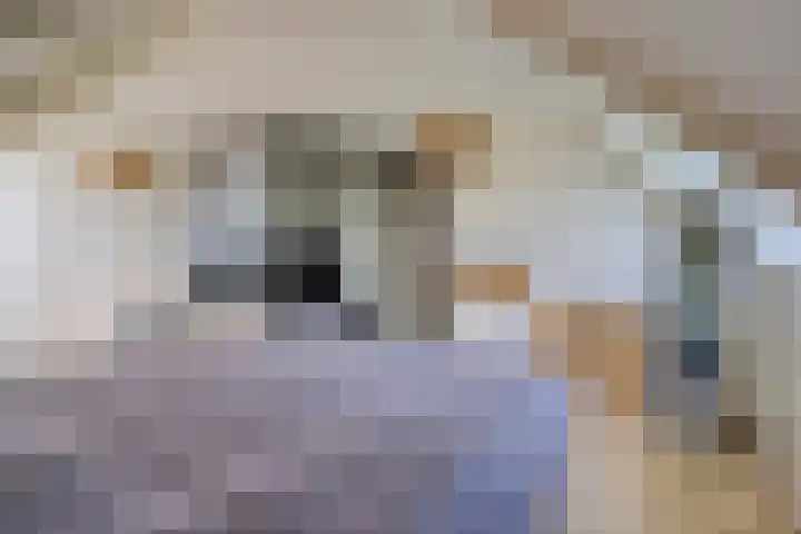 Meanderlaan 33 Tholen thumbnail 24
