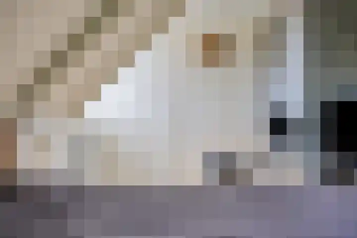 Meanderlaan 33 Tholen thumbnail 25