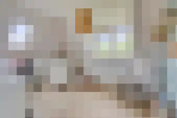 Meanderlaan 33 Tholen thumbnail 26