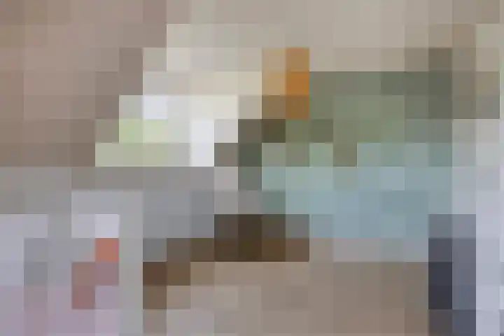 Meanderlaan 33 Tholen thumbnail 28