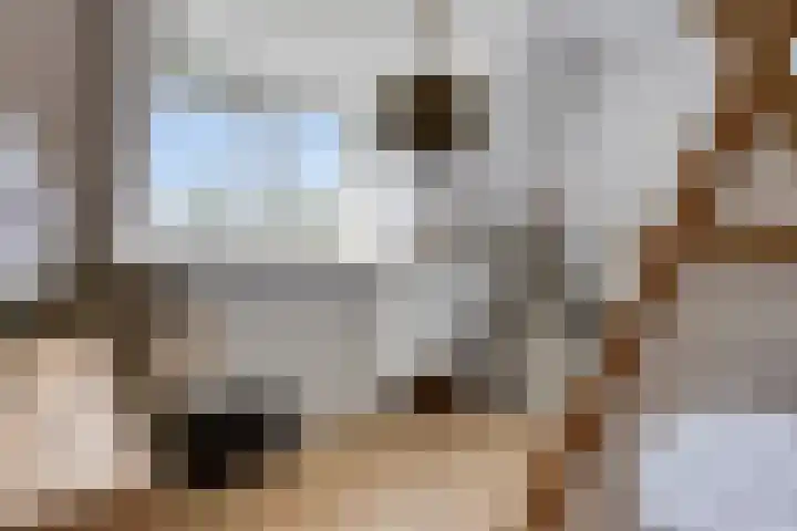 Meanderlaan 33 Tholen thumbnail 30