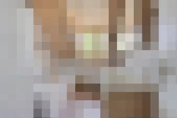 Meanderlaan 33 Tholen thumbnail 33