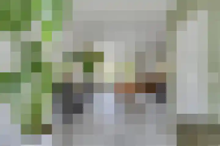 Meanderlaan 33 Tholen thumbnail 4
