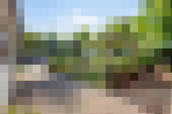 Meanderlaan 33 Tholen thumbnail 40
