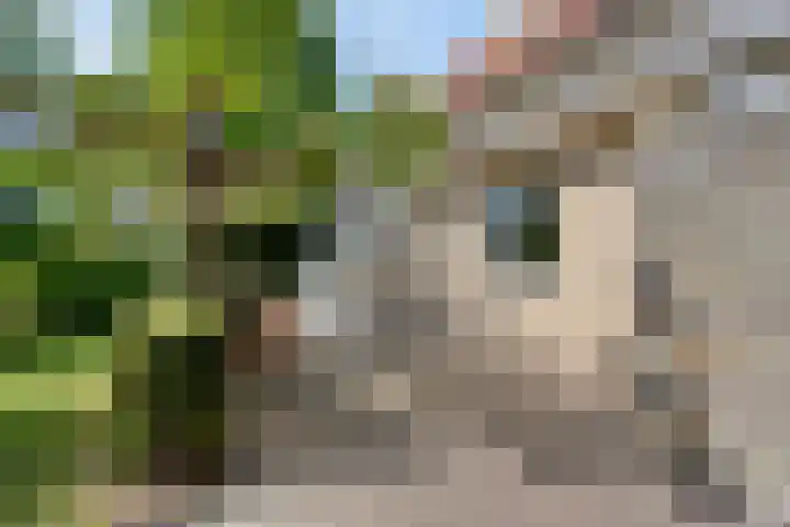 Meanderlaan 33 Tholen thumbnail 41