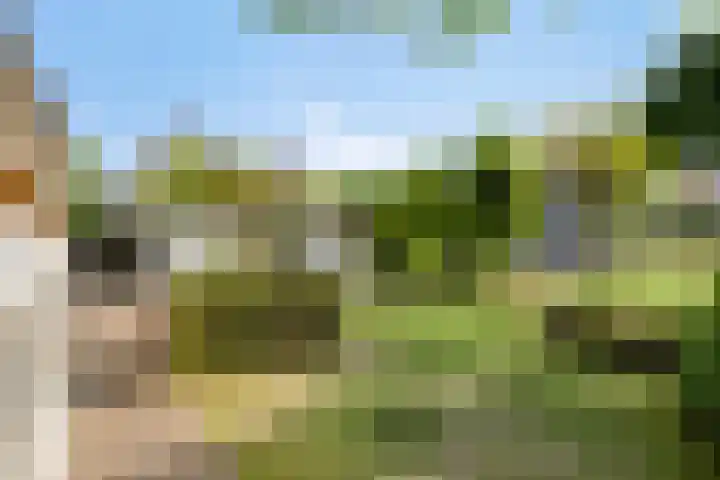 Meanderlaan 33 Tholen thumbnail 42