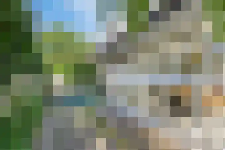 Meanderlaan 33 Tholen thumbnail 43