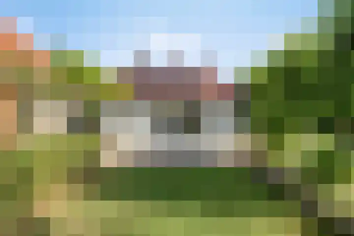 Meanderlaan 33 Tholen thumbnail 44