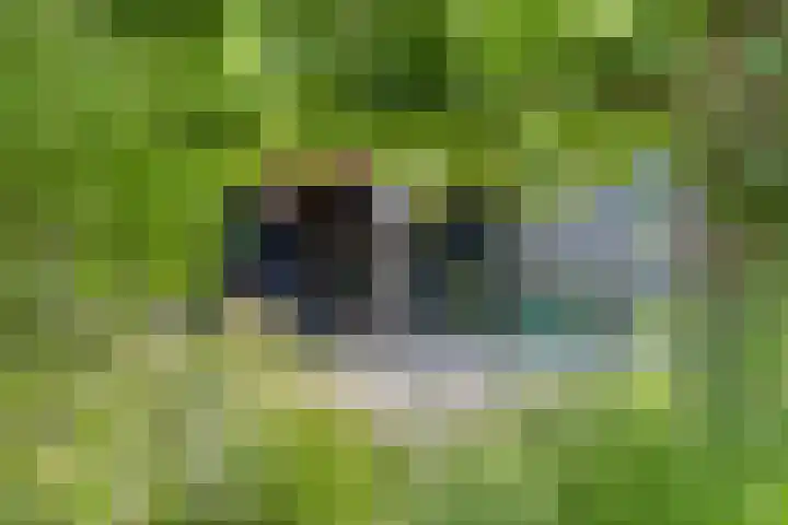Meanderlaan 33 Tholen thumbnail 45