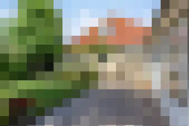 Meanderlaan 33 Tholen thumbnail 46