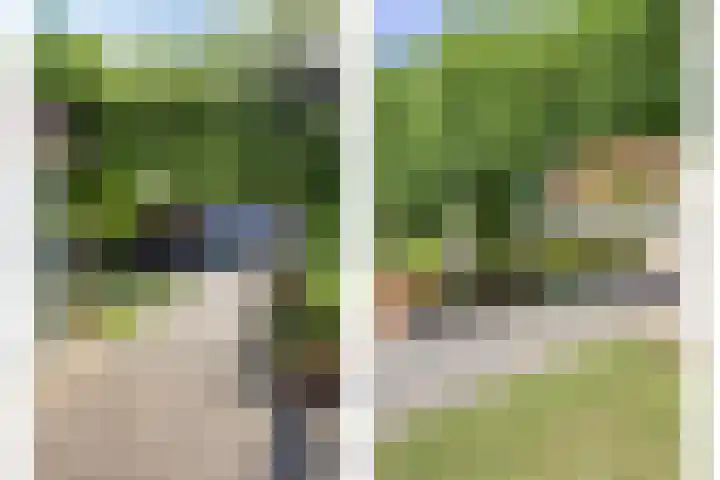 Meanderlaan 33 Tholen thumbnail 48