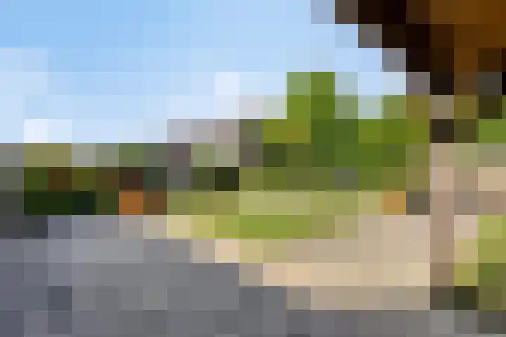 Meanderlaan 33 Tholen thumbnail 49