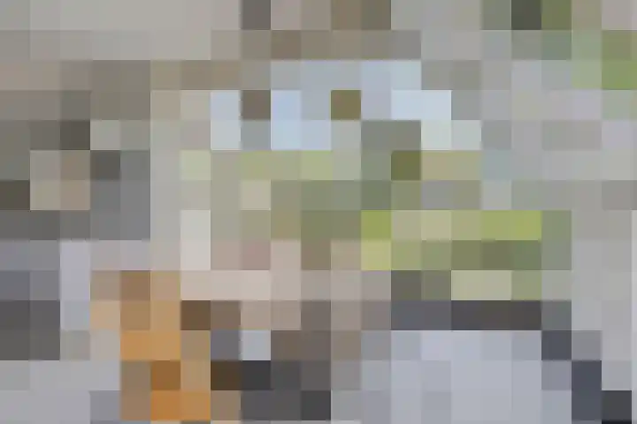 Meanderlaan 33 Tholen thumbnail 5