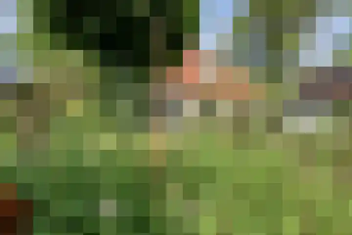 Meanderlaan 33 Tholen thumbnail 50
