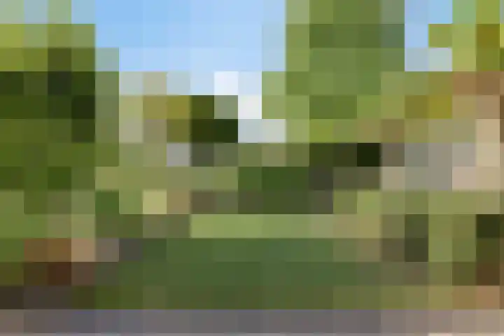 Meanderlaan 33 Tholen thumbnail 6