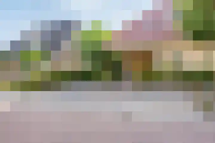 Meanderlaan 33 Tholen thumbnail 8
