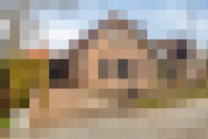 Meanderlaan 6 Tholen