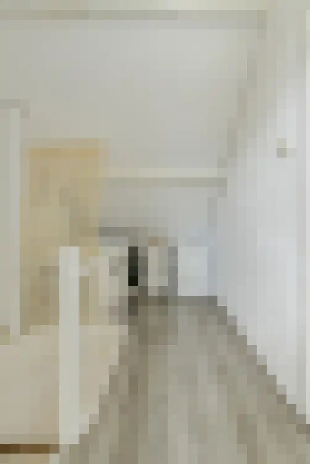 Mechelenstraat 12 Breda thumbnail 36