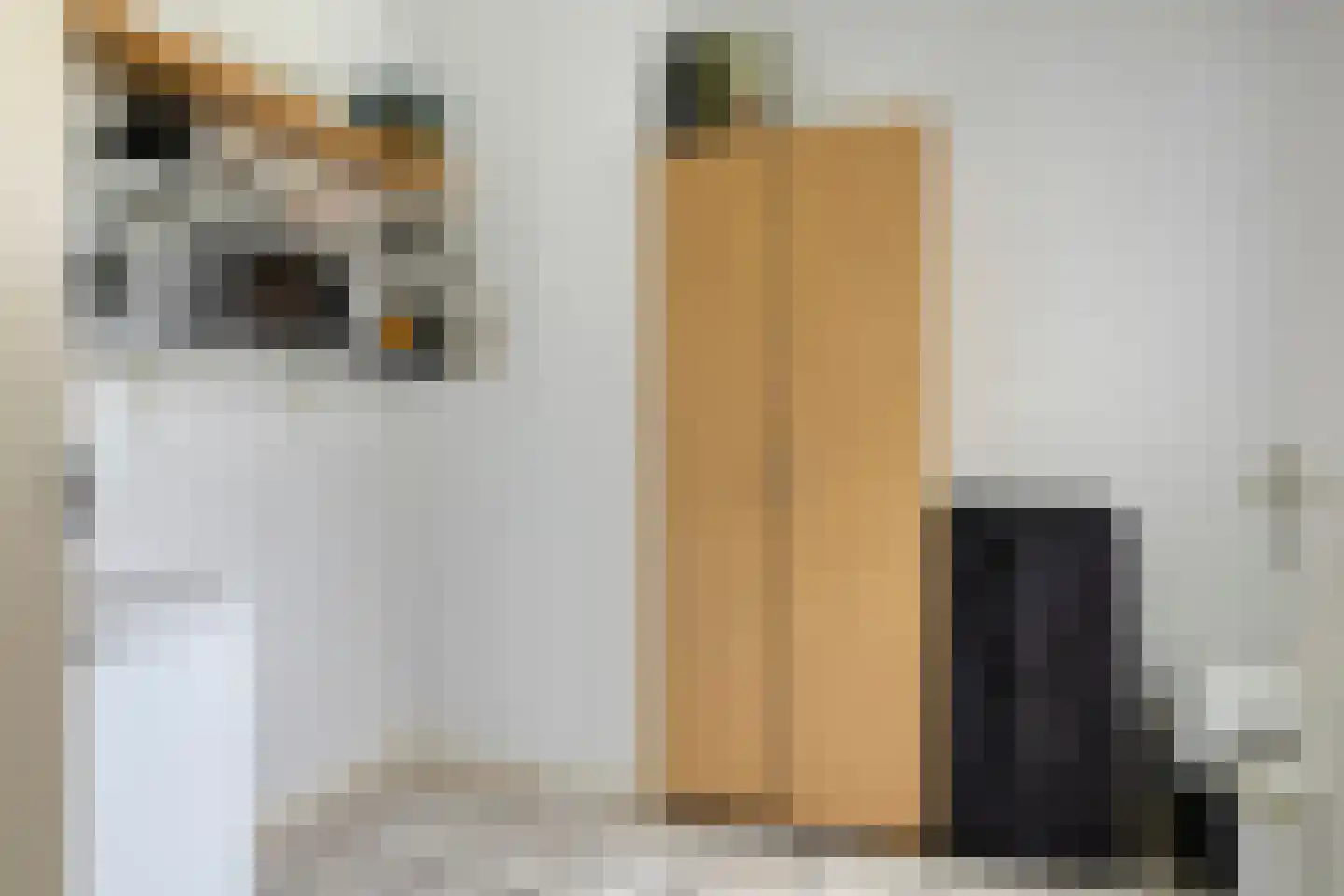 Mechelenstraat 17 Hengelo thumbnail 20