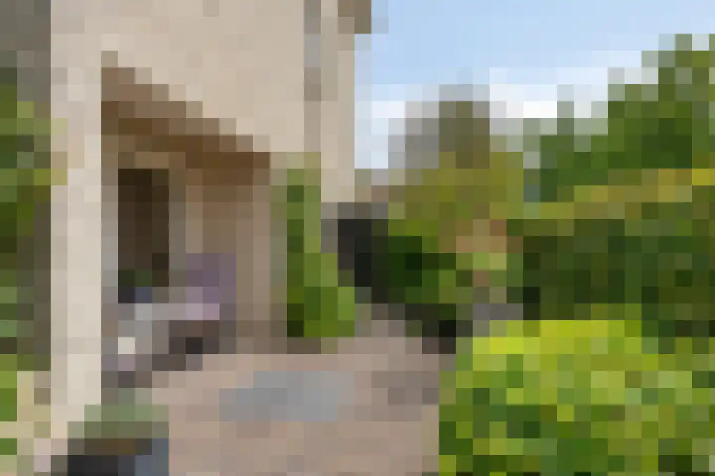 Mechelenstraat 17 Hengelo thumbnail 36
